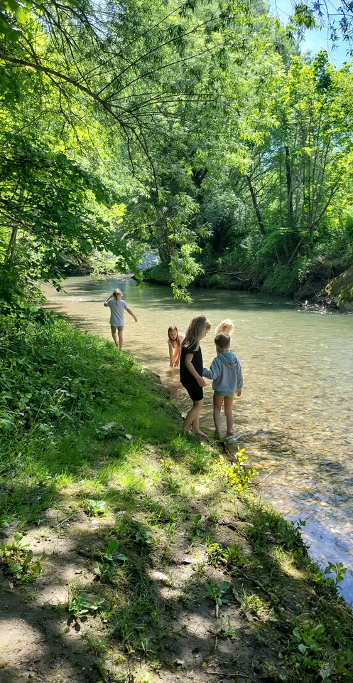 Otroci bredejo po plitvi reki v senci dreves